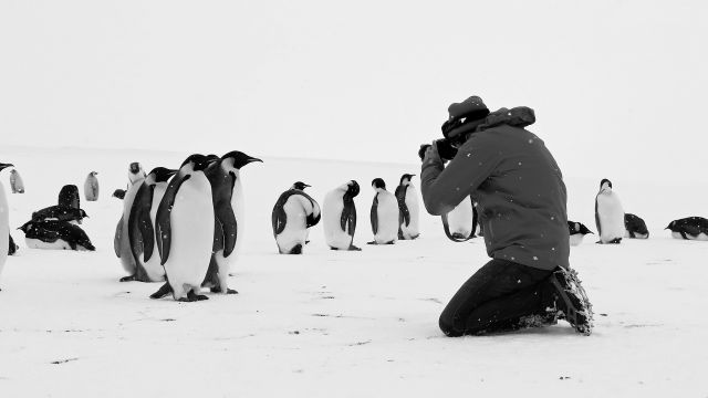 15.02. | Kinostart der Woche - Rückkehr zum Land der Pinguine